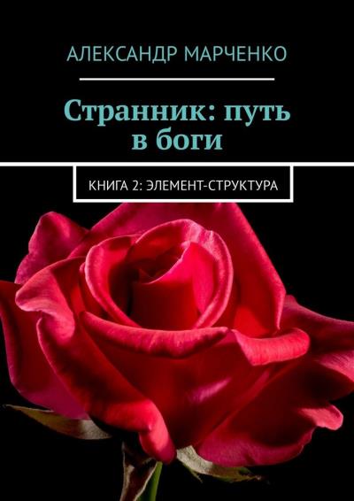 Книга Странник: путь в боги. Книга 2: элемент-структура (Александр Марченко)